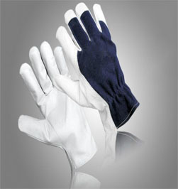 gloves 2